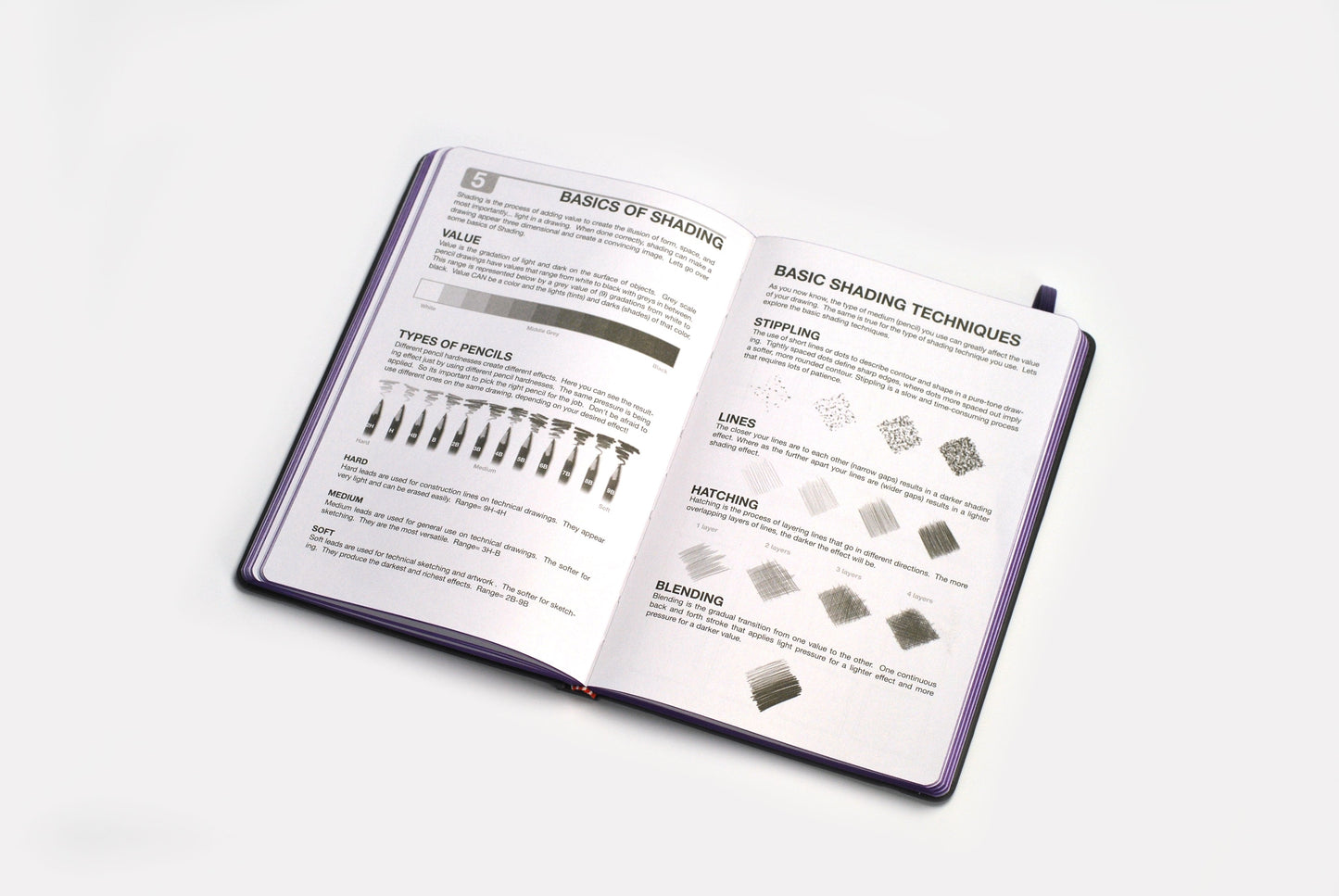 x Digital Edition- DRAWING BASICS