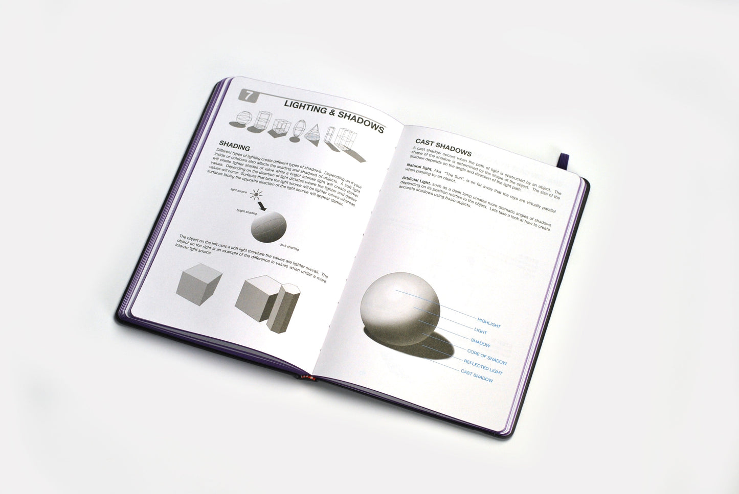 x Digital Edition- DRAWING BASICS