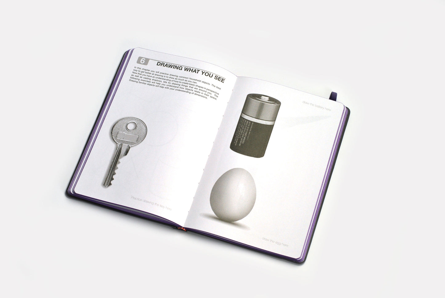 x Digital Edition- DRAWING BASICS